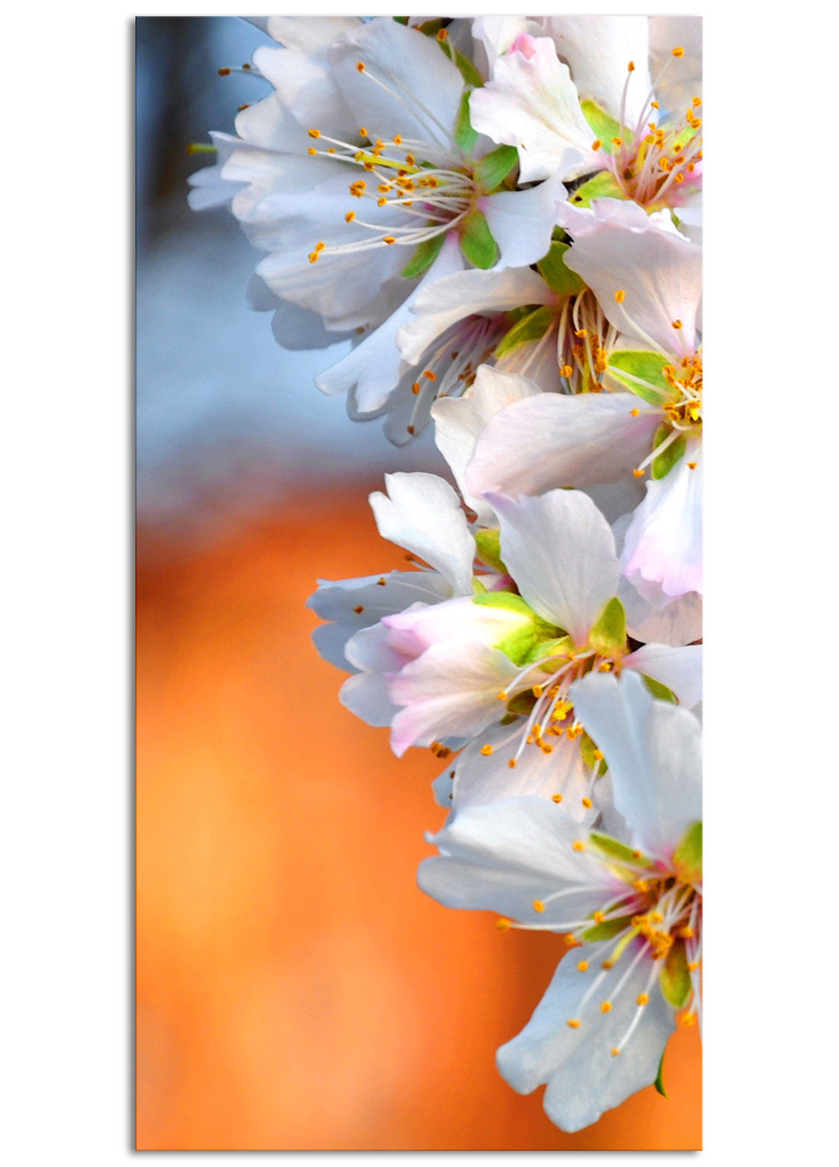 

Фотокартина на холсте Белое соцветие, 60*120 см