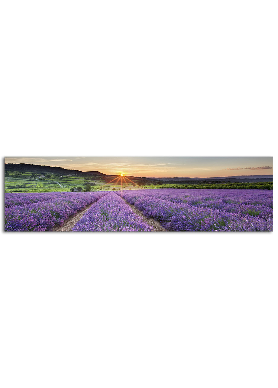 

Фотокартина на холсте Лавандовое поле, 50*180 см