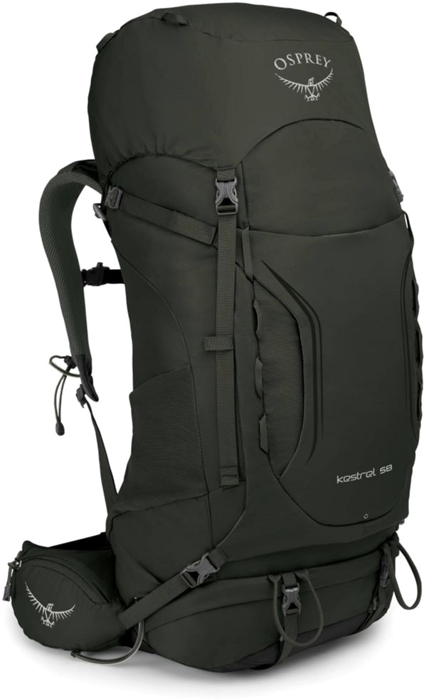 

Рюкзак Osprey Kestrel 58 Picholine Green M/L (009.1855)