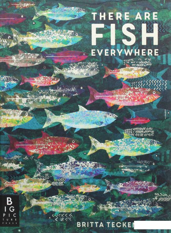 

There are Fish Everywhere (1115287)