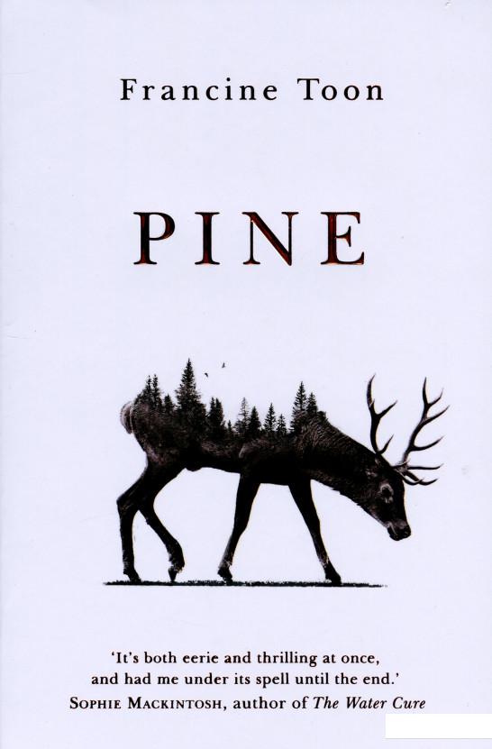 

Pine (1196686)