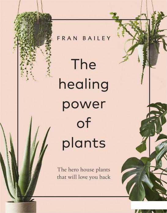 

The Healing Power of Plants (949350)