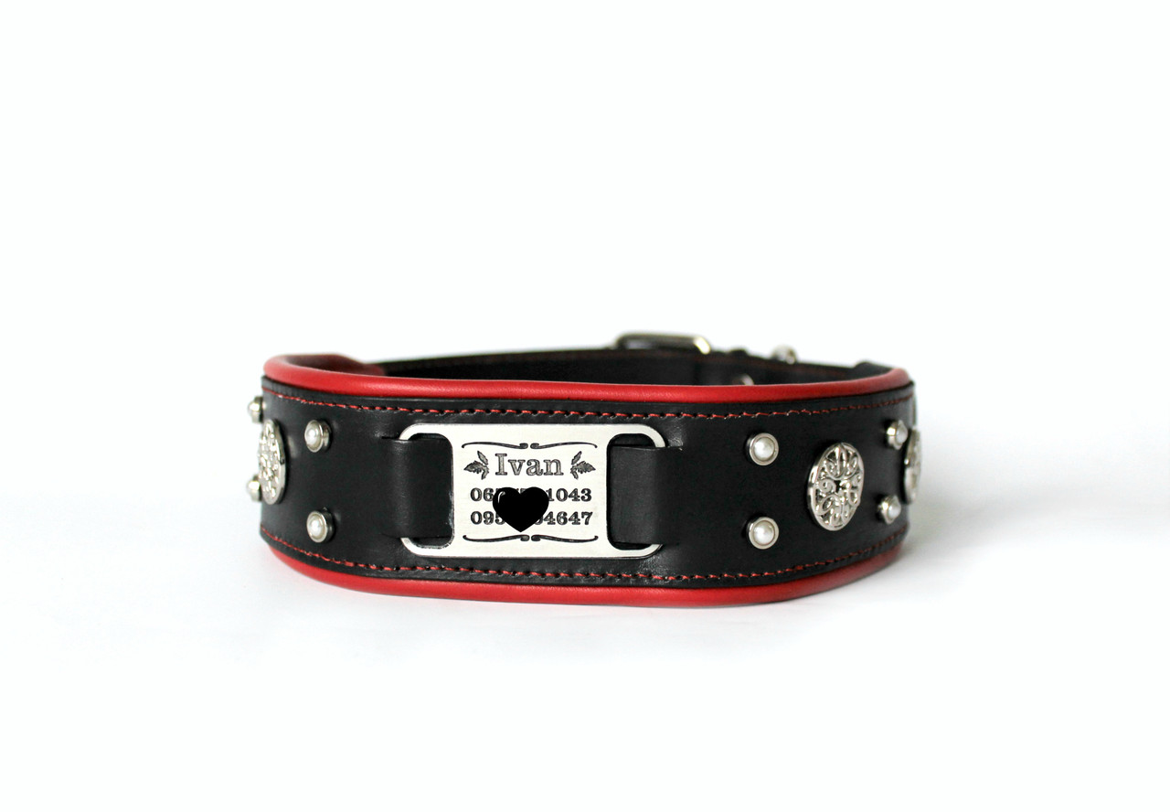 

Кожаный ошейник для собаки с адресником Lockdog XL (56-70 см) (zoo0000341) Черно-красный
