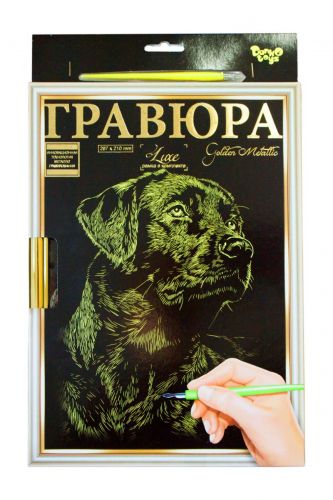 

Гравюра Danko toys LUXE А4 с рамкой Golden Metallic: Собака (66326)
