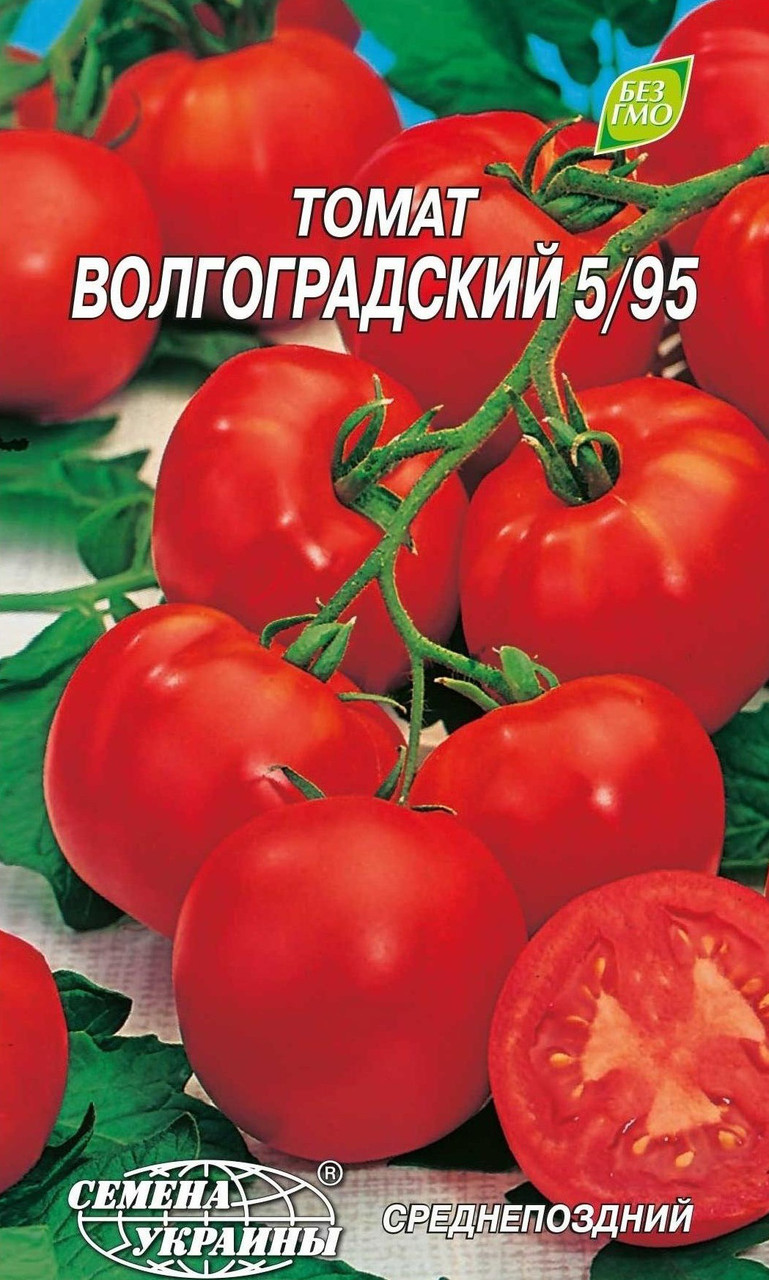 Помидор волгоградский 5 95 описание и фото