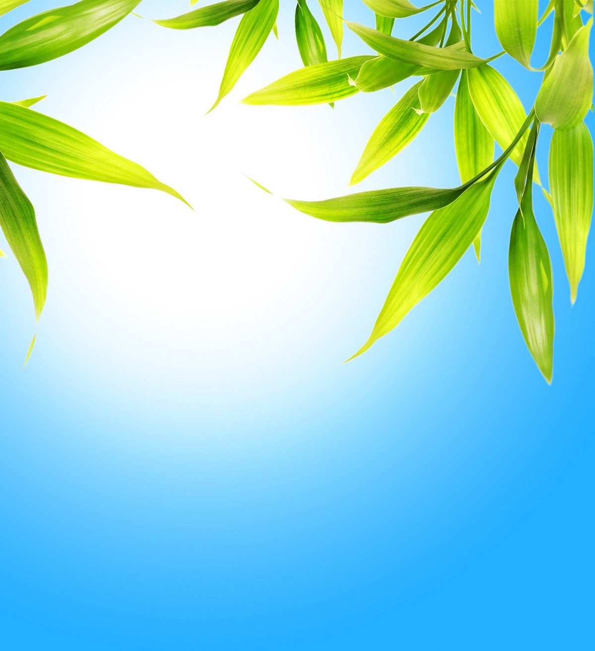 

BeHappy Фотообои Доброе утро NAT-040 Глянец