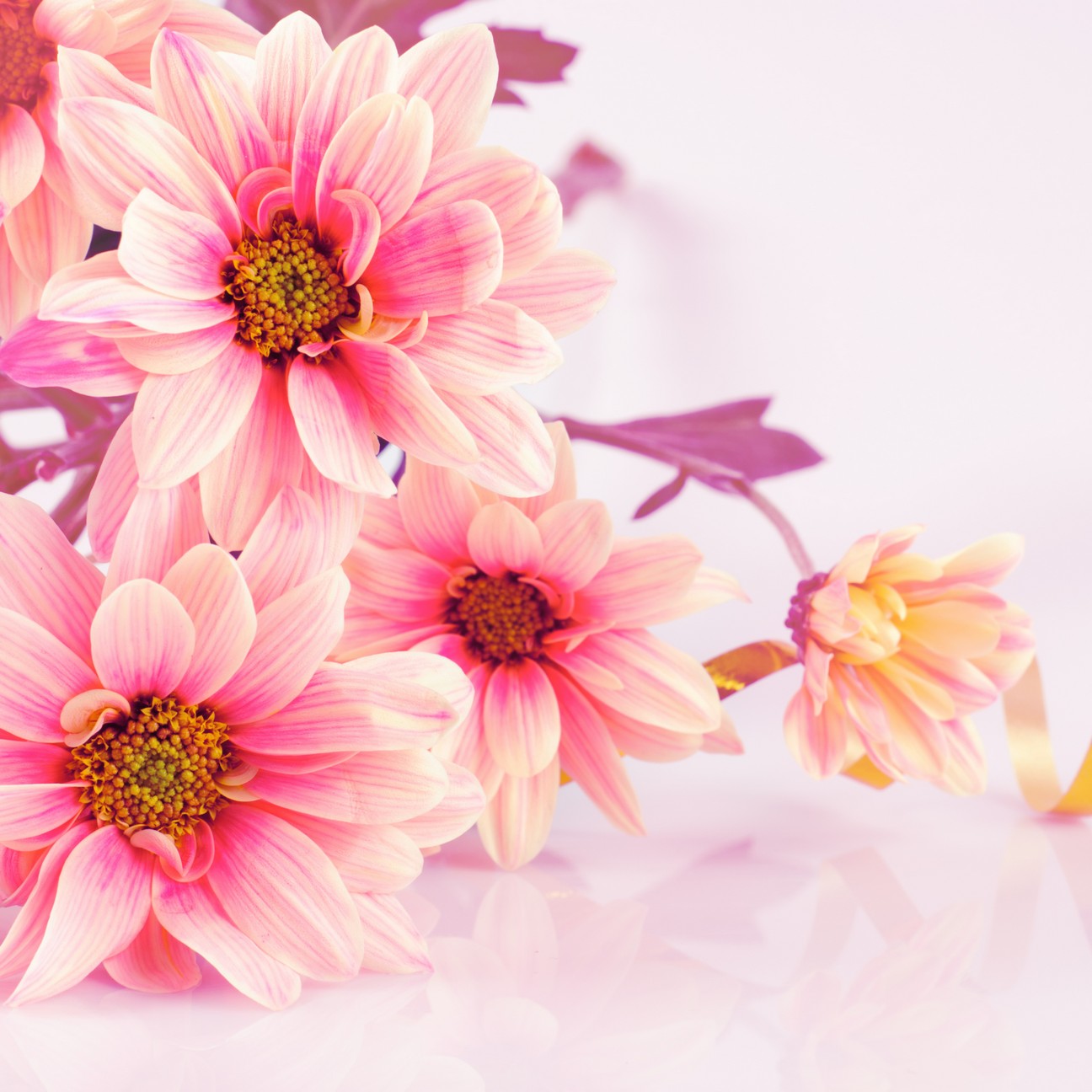 

BeHappy Фотообои: Яркий цвет flowers00088 Прованс