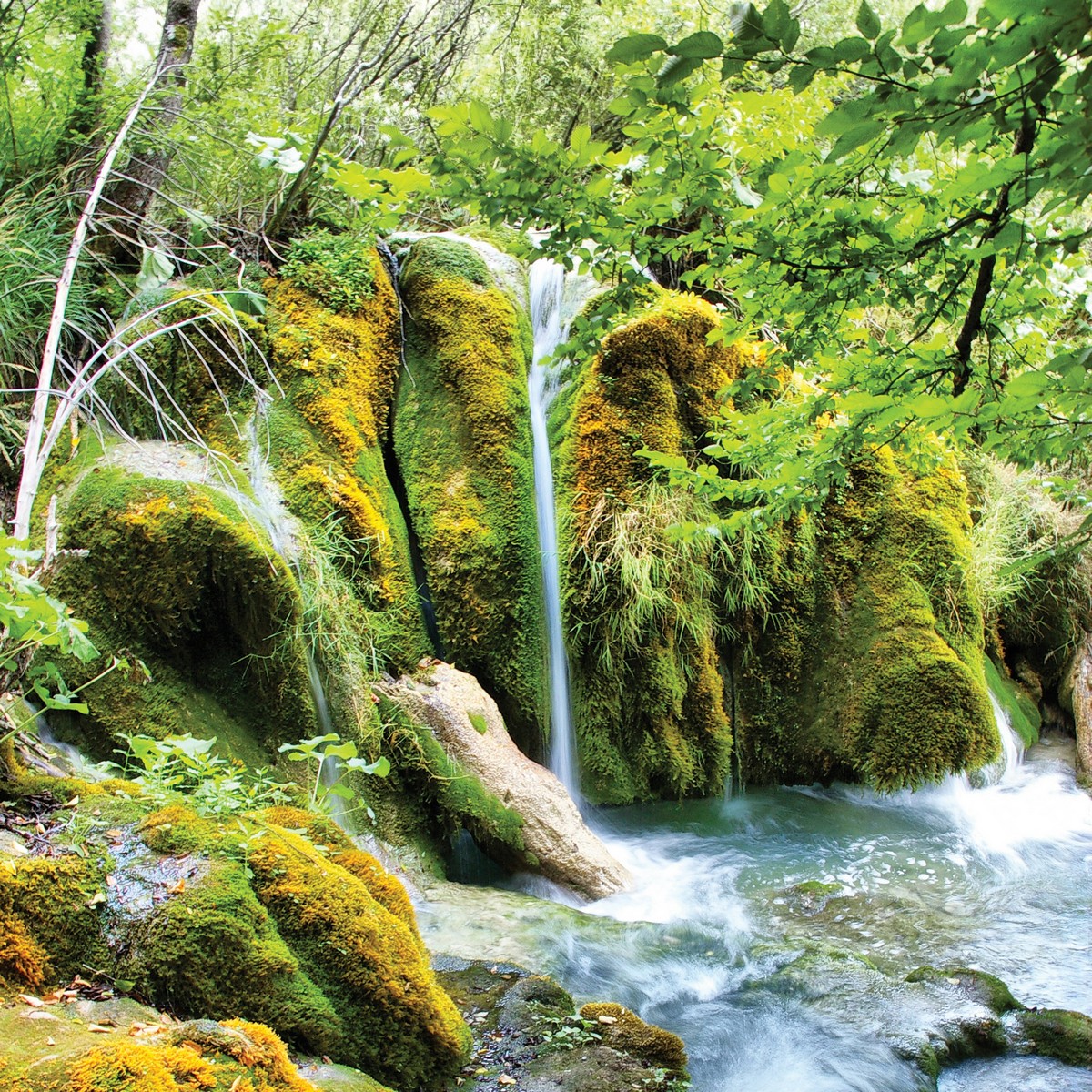 Фотообои водопад в зелени