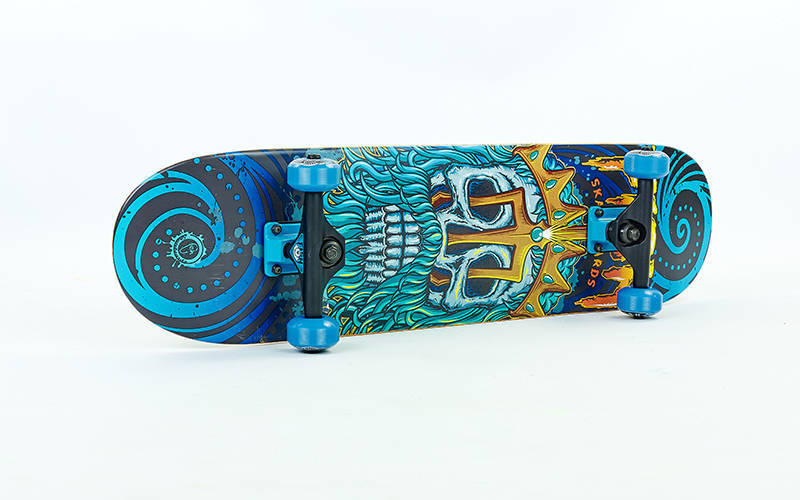 

Скейтборд деревянный в сборе из канадского клена 31in FISH CAPRICORN SK-414 Blue (PS00150)