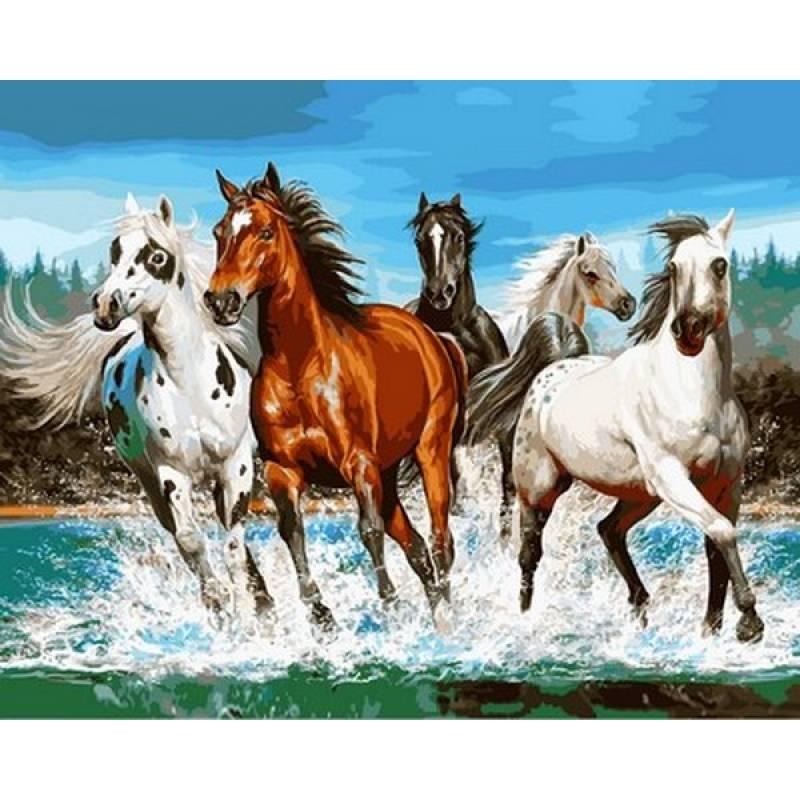

Картина по номерам VP1025 Великолепная пятерка, 40x50 см., Babylon