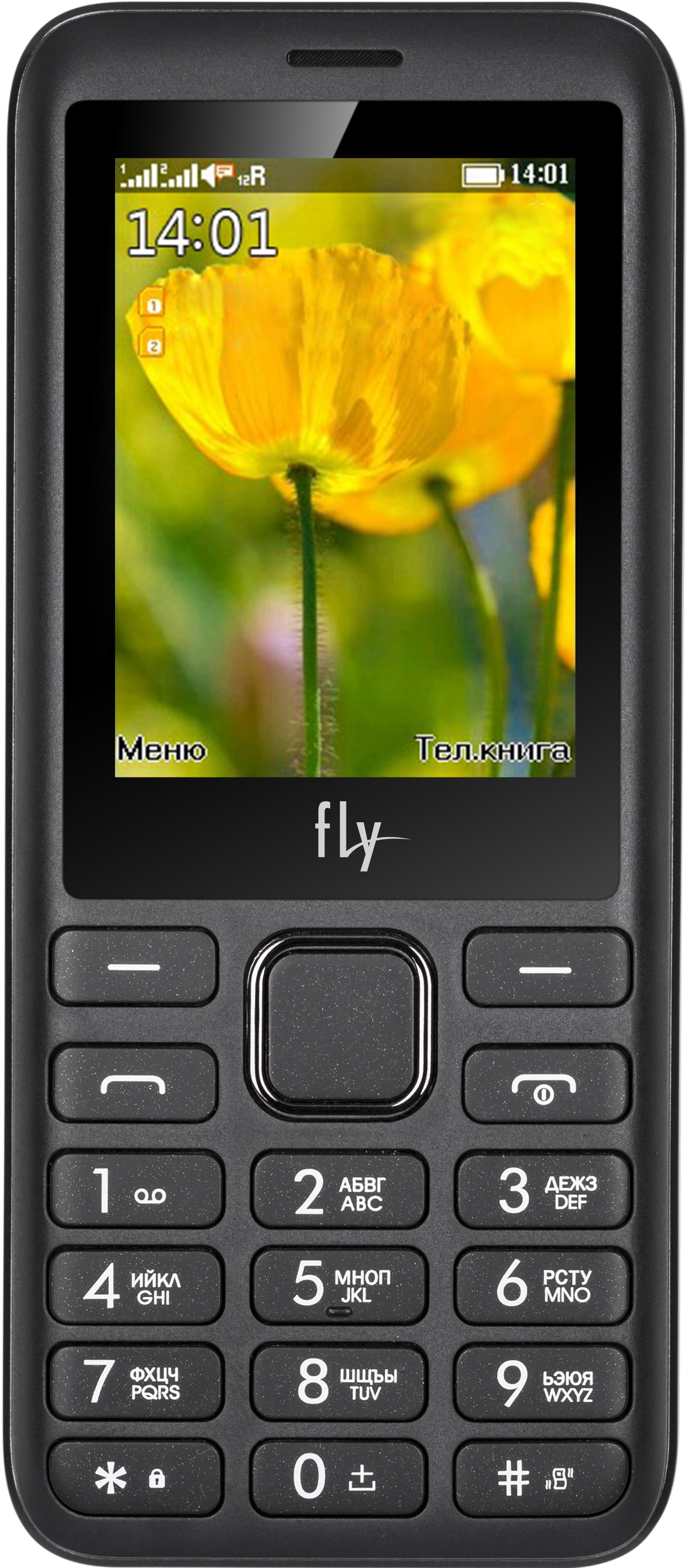 Смартфон Fly IQ260 Blackbird (Grey)