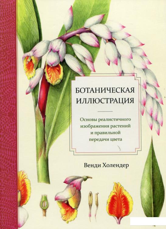 

Ботаническая иллюстрация (532361)