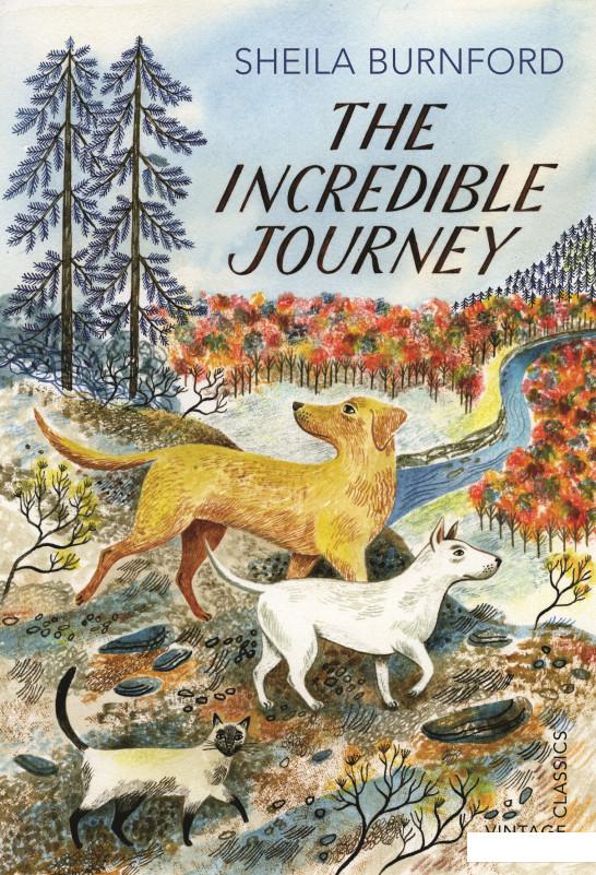 

The Incredible Journey (947035)