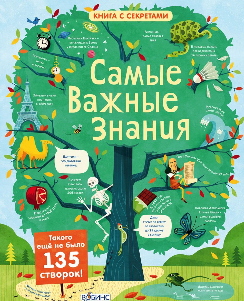 

Самые важные знания