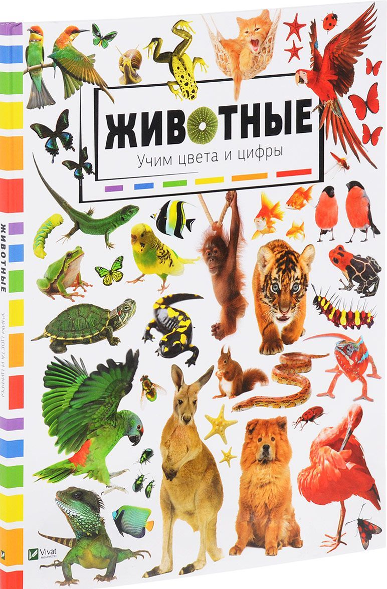 

Животные. Учим цвета и цифры