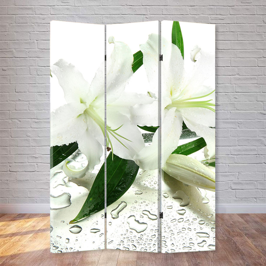 

Ширма декоративная FineDecor "Белая лилия" 120х180 см 099