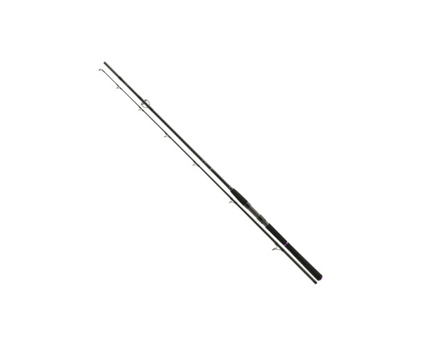 

Спиннинг Daiwa Prorex X Big Bait 2.70m -150gr (арт.1919926090)