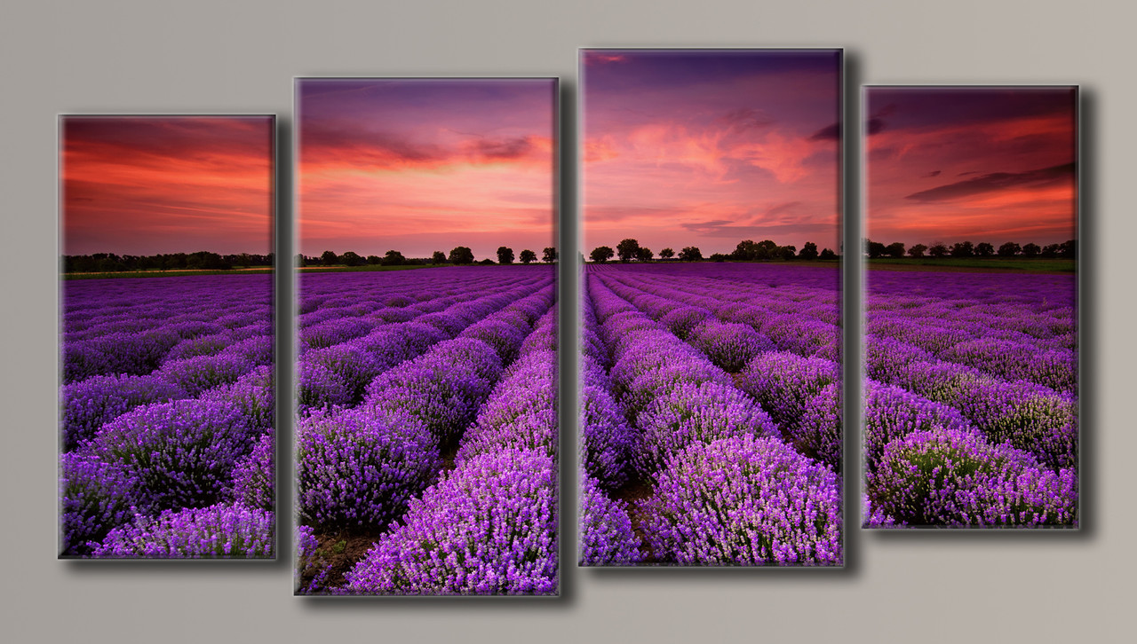 

Картина модульная HolstArt Лавандовое поле 103*191см 4 модуля арт.HAF-084