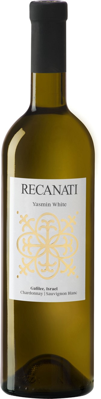Акція на Вино Recanati Meditarainian Blend White белое сухое 0.75 л 13.5% (7290008670968) від Rozetka UA