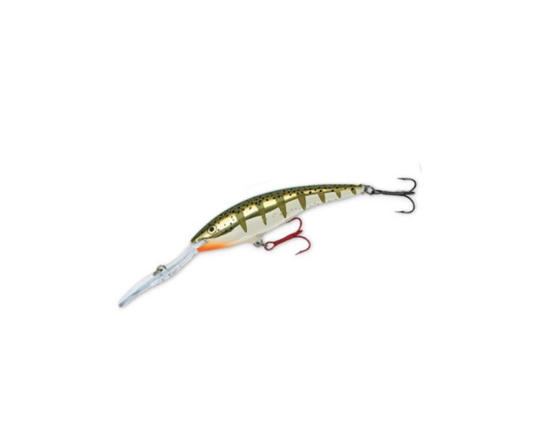 

Воблер Rapala Deep Tail Dancer 90mm 13g 6m #FYP (арт.1919610143)