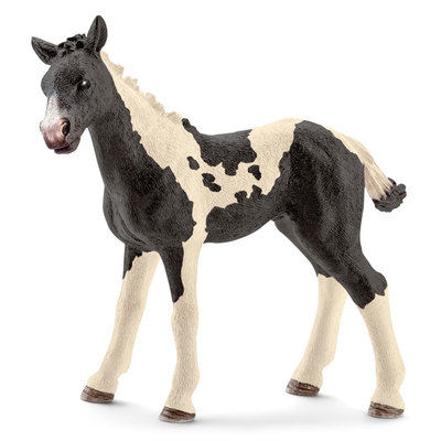 

Фигурка Schleich Жеребенок Пинто (13803) (10-479915)