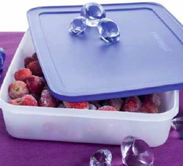 

Охлаждающий лоток Tupperware 2,25 л Е10