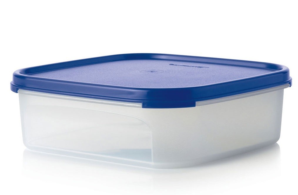 

Контейнер Компакт Tupperware 1,1 л А30