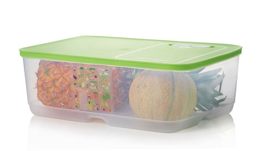 

Контейнер Умный холодильник 9,9 л Tupperware А106