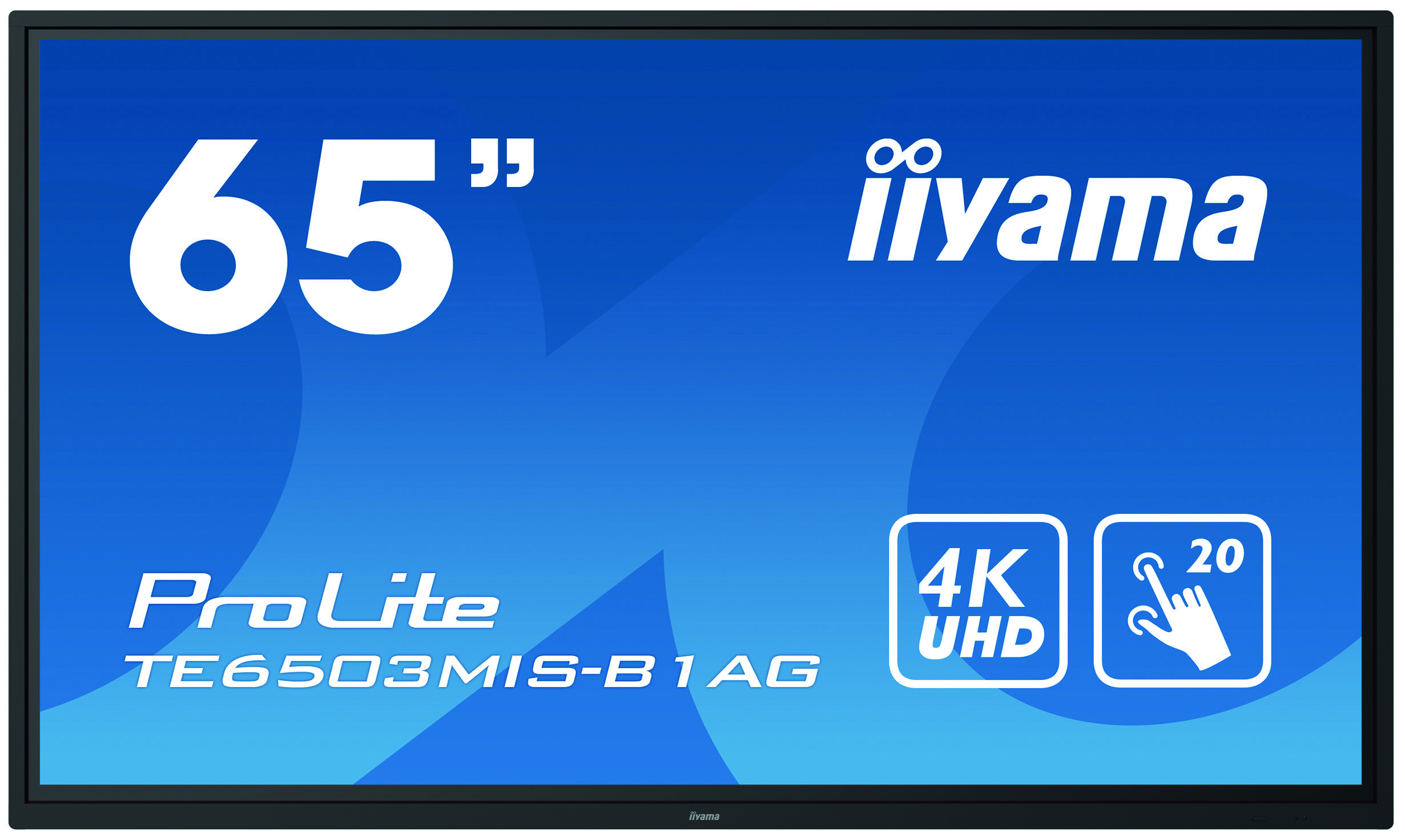 

Информационный ЖК-монитор IIYAMA TE6503MIS-B1AG (TE6503MIS-B1AG)