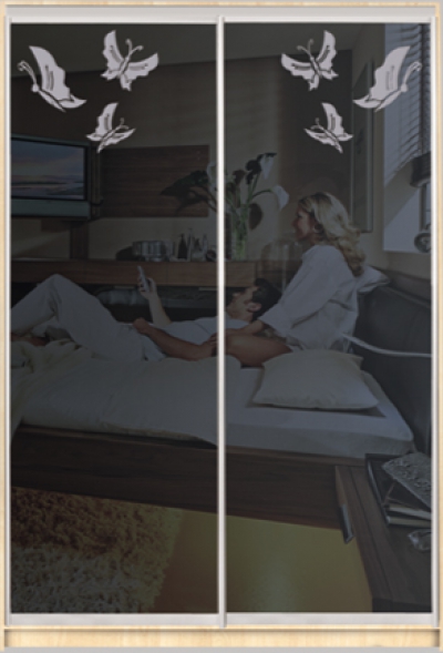 

Шкаф купе Luxe Studio Стандарт-2 Тонированное зеркало с Пескоструем-7 1200x2300x450 двухдверный