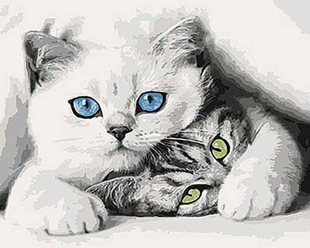 

Картина по номерам. Животные "Котята" 40*50см KHO4098
