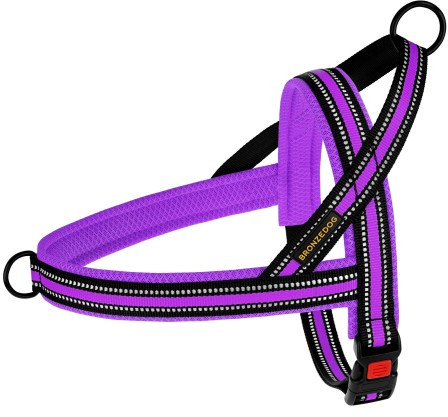 

Шлея для Собак BronzeDog Mesh Скандинавская Фиолетовая, S 30 cм/32-38 см (81107)
