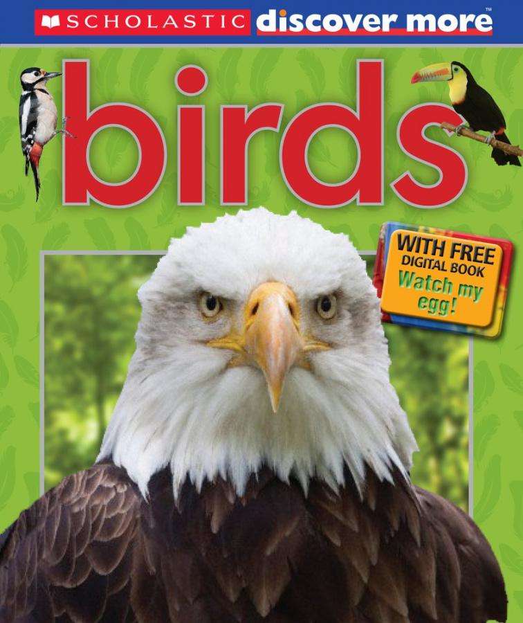

Книга Birds Arlon, P ISBN 9781407142487