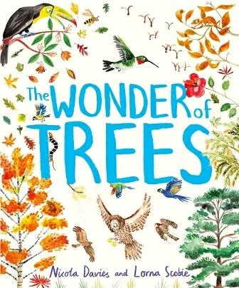 

Книга The Wonder of Trees Lorna Scobie ISBN 9781444938197