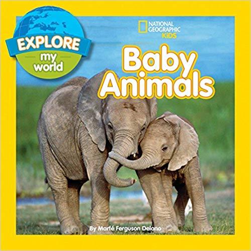 

Книга Explore My World: Baby Animals ISBN 9781426320460