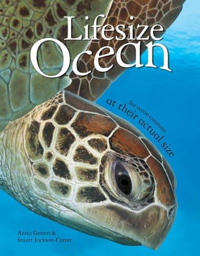 

Книга Lifesize Ocean Ganeri, A ISBN 9780753436349