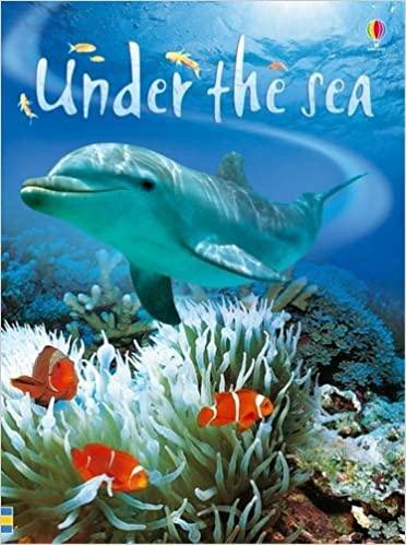 

Книга Under the Sea Fiona Patchett ISBN 9780746074879