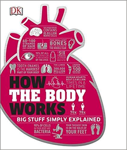 

Книга How the Body Works ISBN 9780241188019