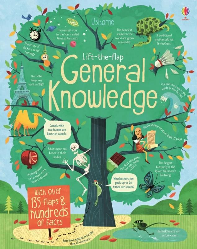 

Книга с окошками Lift-the-Flap General Knowledge Alex Frith, James Maclaine, Marco Palmieri ISBN 9781409563990