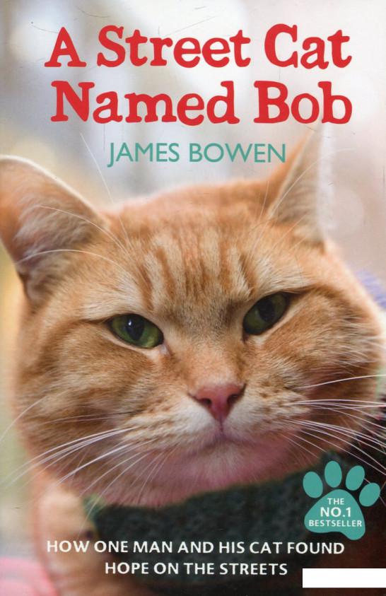 

A Street Cat Named Bob (552191)