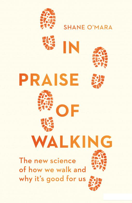 

In Praise of Walking (957427)