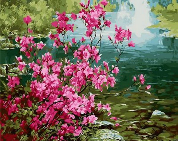 

Картина по номерам Куст миндаля 40*50 MR-Q1276 Mariposa