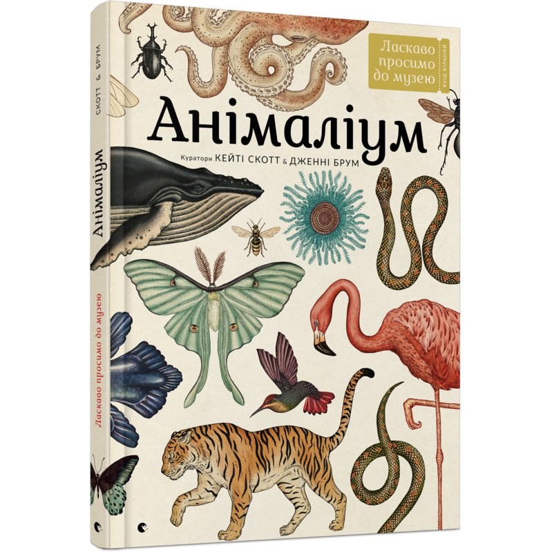 

Книга "Анімаліум" - Брум Дженни