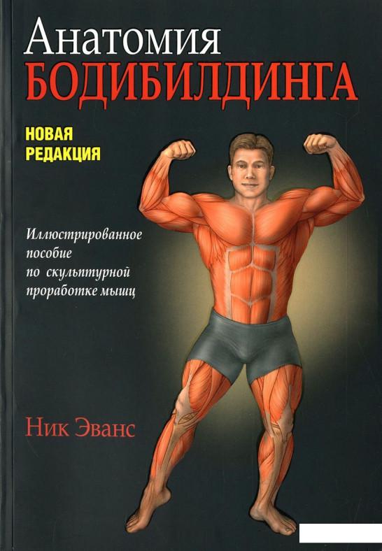 

Анатомия бодибилдинга (635580)