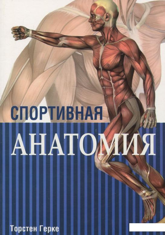 

Спортивная анатомия (964514)