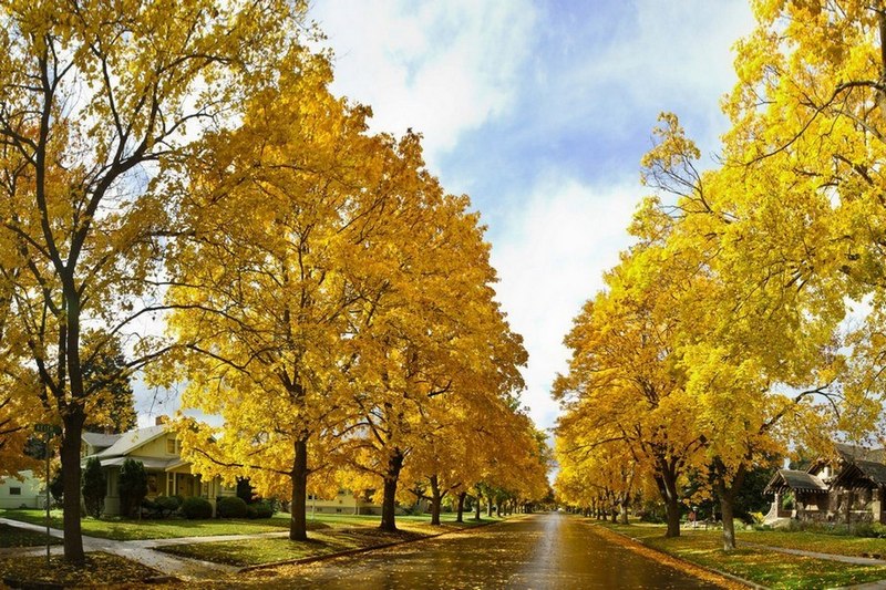 

Картина LaPrint Дорога 90х60 см