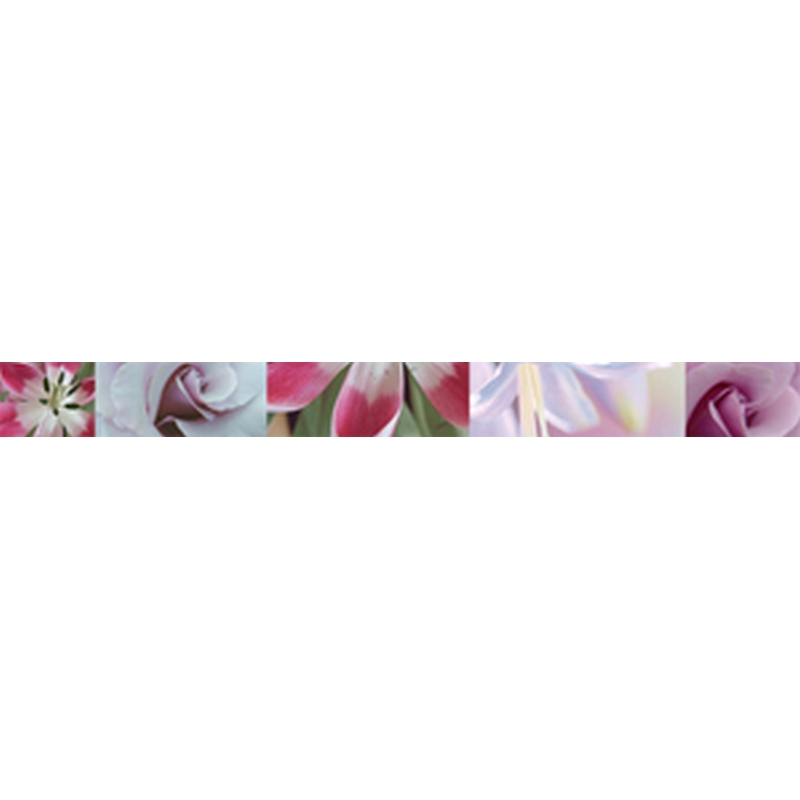 

Фриз Halcon Malva 47x500 (016310)