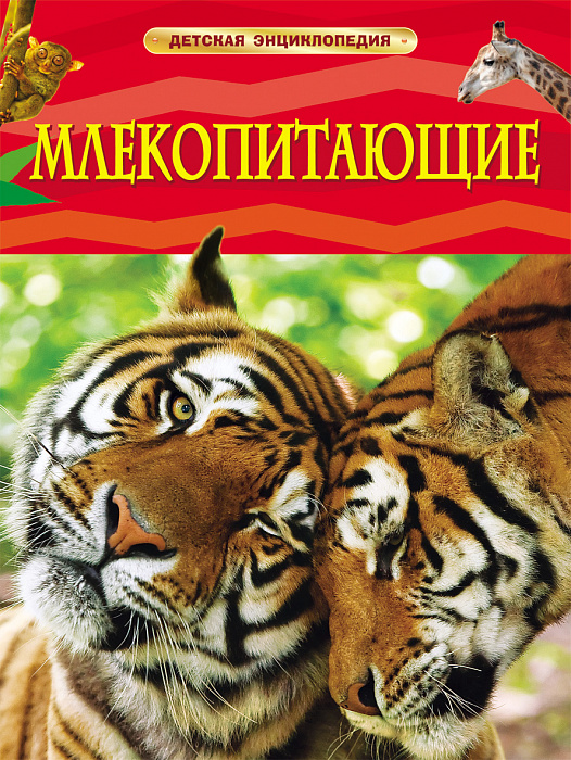 

Млекопитающие. Детская энциклопедия Росмэн 48 стр. 000127183