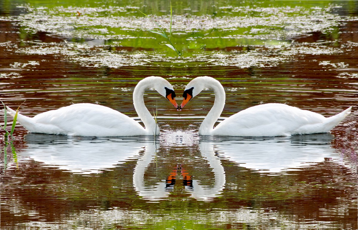 

BeHappy Фотообои: Влюблённая пара ANI-034 Холст