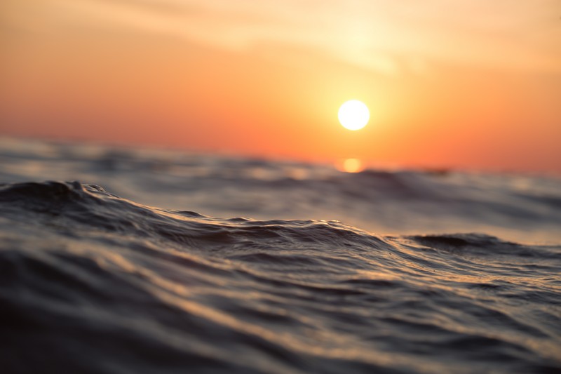 

BeHappy Фотообои Глубокое море SE-8 Холст
